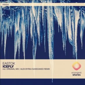 Download track Icefly (Alex Byrka Extended Sunsoaked Remix) Eastok