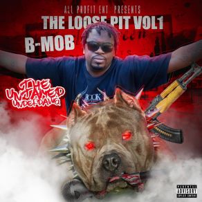 Download track Shouty Bad B. MobRaywonder