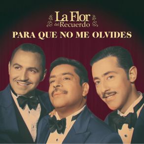 Download track Historia De Un Amor La Flor Del Recuerdo