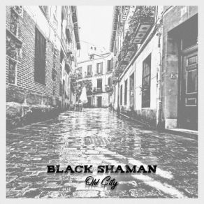 Download track Night Club Black Shaman