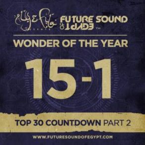 Download track Future Sound Of Egypt 372 (Wonder Of The Year 2014 Part 2) Aly & Fila