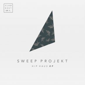 Download track Hip Haus (Original Mix) Sweep Projekt