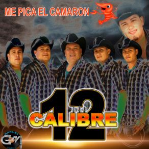 Download track Al Reves Calibre 12