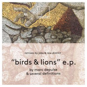 Download track Birds (Orginal Mix) Several Definitions