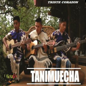 Download track Triste Corazon Tanimuecha