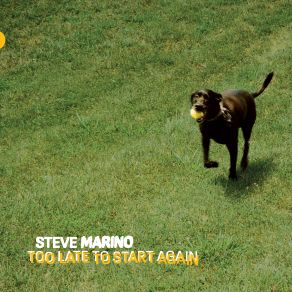 Download track Got You (In My World Now) Steve Marino