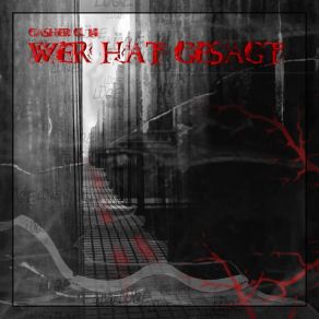 Download track Wer Hat Gesagt (Im Puls - Version) Gasher G. 14