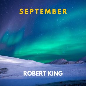 Download track Laconic Robert King