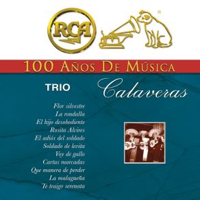 Download track Voy De Gallo Trío Calaveras