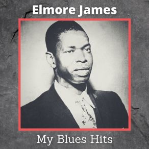 Download track The 12 Year Old Boy Elmore James