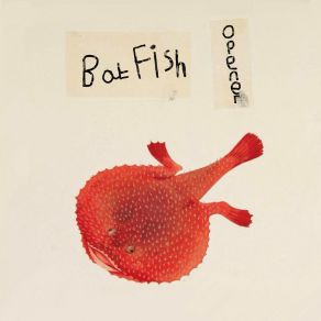 Download track Rye Batfish