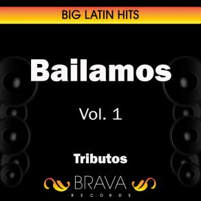 Download track La La La (Spanish Version) [Tribute Version] Brava HitMakers