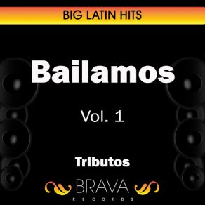 Download track Hasta Que Salga El Sol (Tribute Version) Brava HitMakers