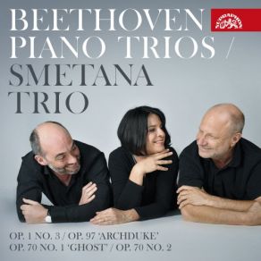 Download track Piano Trio No. 3 In C Minor, Op. 1: III. Menuetto. Quasi Allegro - Trio Smetana Trio