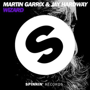 Download track Wizard (Radio Edit) Martin Garrix, Jay Hardway