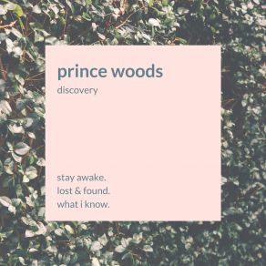 Download track What I Know Prince WoodsAlice K