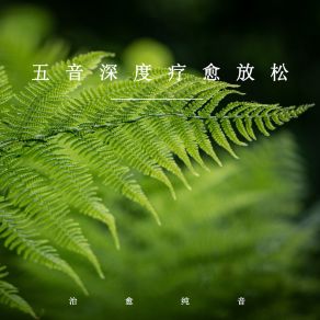 Download track 淳朴悠长之音 (舒缓纯音乐) 疗愈音律