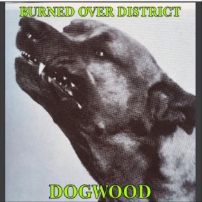 Download track Dogwood Burned Over District