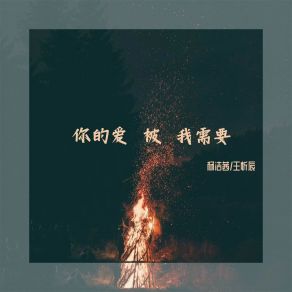 Download track 你的爱被我需要 杨洁茜