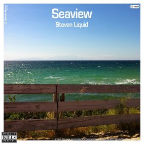 Download track Seaview (Summer Club Edit) Steven Liquid