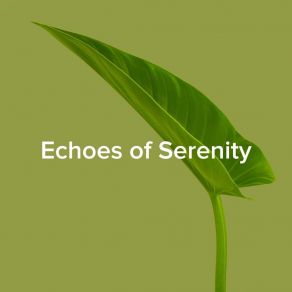 Download track Serenity In Green Mmmstudio