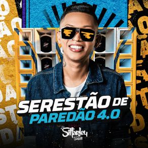 Download track Liguei Pra Dizer Que Te Amo Silfarley O Rei Da Seresta