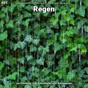 Download track Regen, Pt. 42 Naturgeräusche