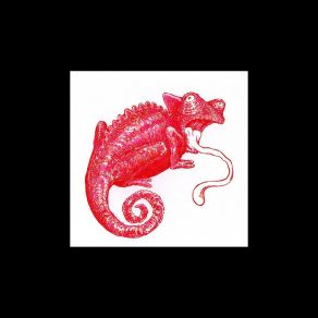 Download track Slime Pink Chameleons