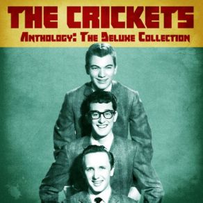 Download track Smooth Guy (Fast Version) (Remastered) The Crickets