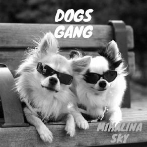 Download track Feagin Hispanic Mihalina Sky