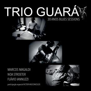 Download track Pancadão (Alternative Version) Trio Guará