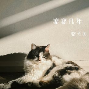 Download track 旧街浪人 骆芳茵