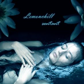 Download track Missing Souls Lemonchill