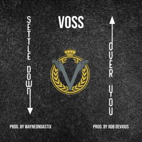 Download track Settle Down Voss