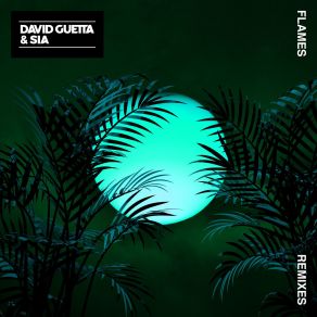 Download track Flames (Extended) David Guetta, Sia