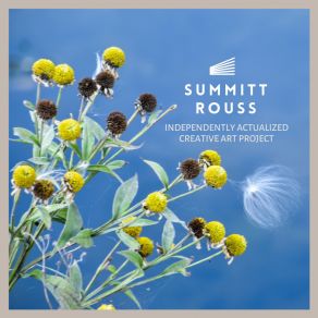 Download track 484484100100A Summitt Rouss