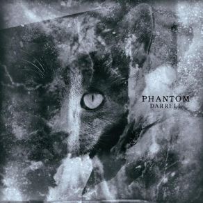 Download track Phantom Darrell