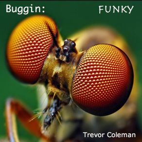 Download track Groovin' Pingpong Trevor Coleman