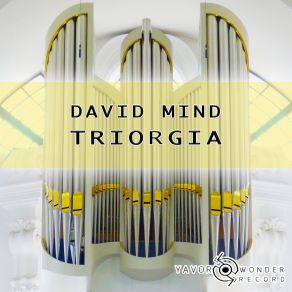 Download track Triorgia (Original Mix) David Mind