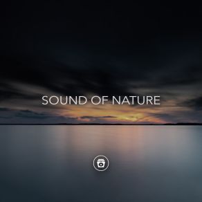 Download track Soothing Rain Sound Rain For Deep Sleep