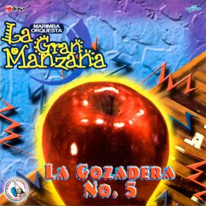 Download track La Gozadera 5: Con El Alma En La Mano / Inolvidable Amor / Perdón Por Tus Lágrimas / Tu Presa Fácil Marimba Orquesta La Gran Manzana