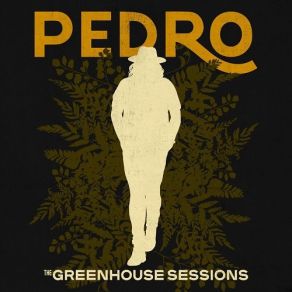 Download track Song # 3 Pedro