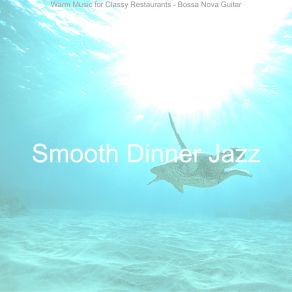 Download track Bossa Quintet Soundtrack For Summer Travels Smooth Dinner Jazz