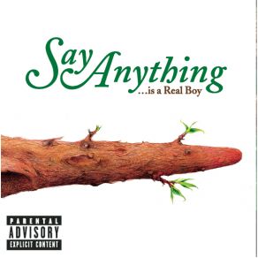 Download track Admit It!  Say Anything