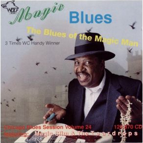 Download track Don'T Tell Me 'Bout Your Troubles Magic Slim, The Teardrops