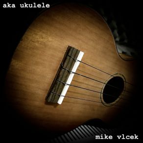 Download track Unpredictable Songs Don't Say That Much Mike Vlcek