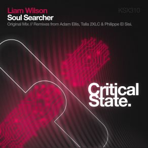 Download track Soul Searcher (Philippe El Sisi Remix) Liam Wilson