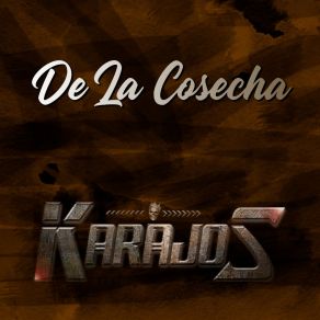 Download track Tu Delirio Los Karajos