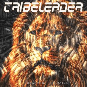 Download track Transcend The Mind (Instrumental Tribe Master New Version) Tribeleader