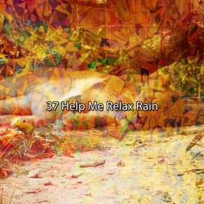 Download track Heavens Rainfall Rain Sounds